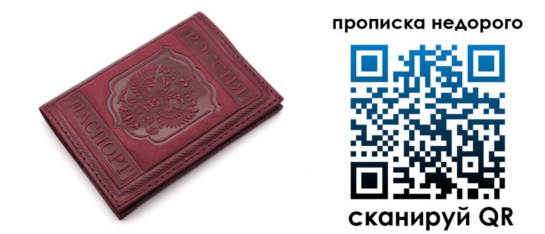 прописка гарантия в Ржеве
